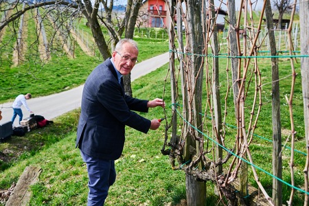 Rez potomke Sˇkalce 26